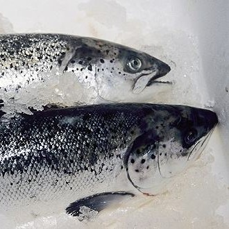 新發(fā)地三文魚案板檢測(cè)出新冠病毒，，北京多家超市連夜下架三文魚，北京新增三個(gè)病例